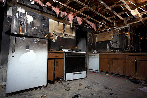 Licensed Fire Damage Removal service in Lake Cassidy, WA - Meridian Smoke Damage